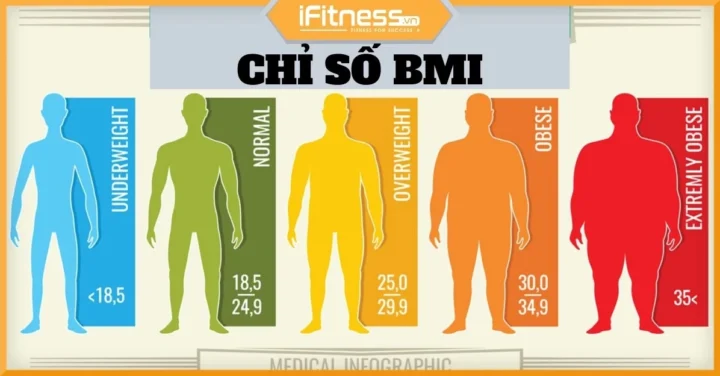 chi-so-bmi-binh-thuong-dau-hieu-cua-suc-khoe-tot-2026_423