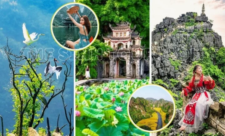 Tour Du Lịch Ninh Bình 2026: Khám Phá Vẻ Đẹp Non Nước Hữu Tình Cố đô Hoa Lư lịch sử