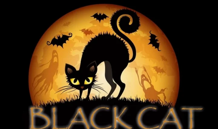 Con vật nào thường liên tưởng xui xẻo Halloween? Khám phá bí ẩn! Con quạ đen biểu tượng Halloween