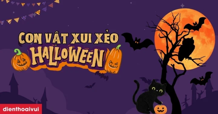 Con vật nào thường liên tưởng xui xẻo Halloween? Khám phá bí ẩn! Dơi biểu tượng Halloween