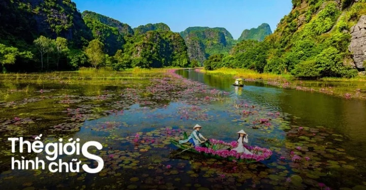 Tam Cốc Ninh Bình: Khám Phá Vẻ Đẹp "Vịnh Hạ Long Trên Cạn" 2026 Du khách đi thuyền trên sông Ngô Đồng mùa lúa chín ở Tam Cốc