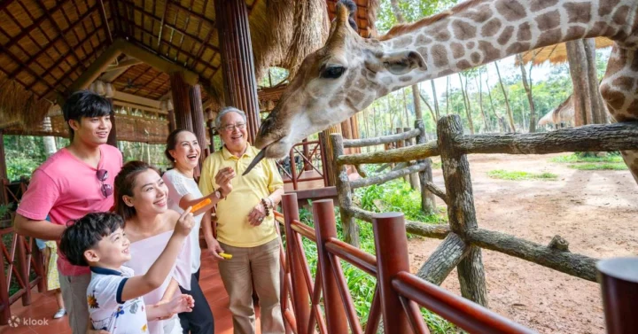 Vinpearl Safari: Khám phá thế giới hoang dã đỉnh cao 2026 Du khách tham quan Vinpearl Safari Phú Quốc