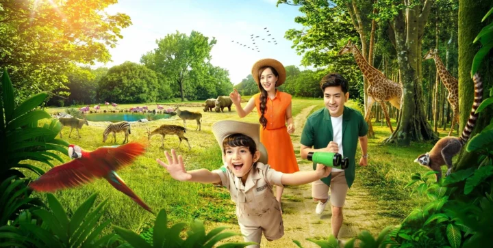 Vinpearl Safari: Khám phá thế giới hoang dã đỉnh cao 2026 Gia đình vui chơi tại Vinpearl Safari Phú Quốc