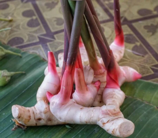 gia-vi-uoc-buon-ban-nhieu-nhat-the-gioi-la-gi-he-lo-top-5_767
