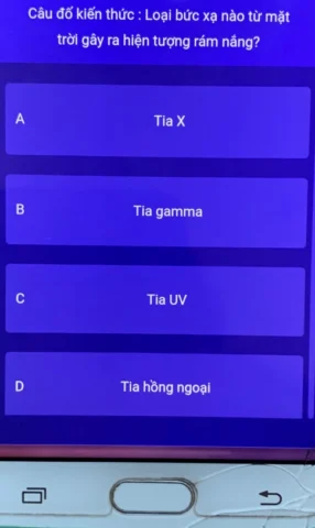 Hình ảnh các loại trái cây giàu vitamin