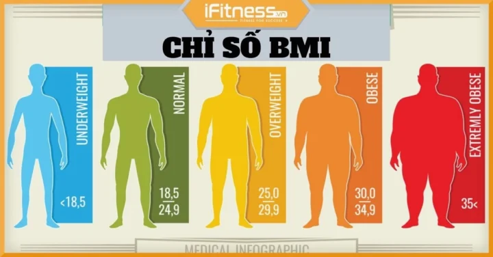 Chỉ Số BMI Bình Thường: Hướng Dẫn Chi Tiết & Ý Nghĩa 2026 Hình ảnh minh họa bữa ăn lành mạnh