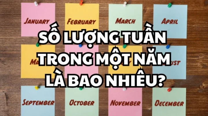 Hình ảnh minh họa số lượng tuần trong một năm