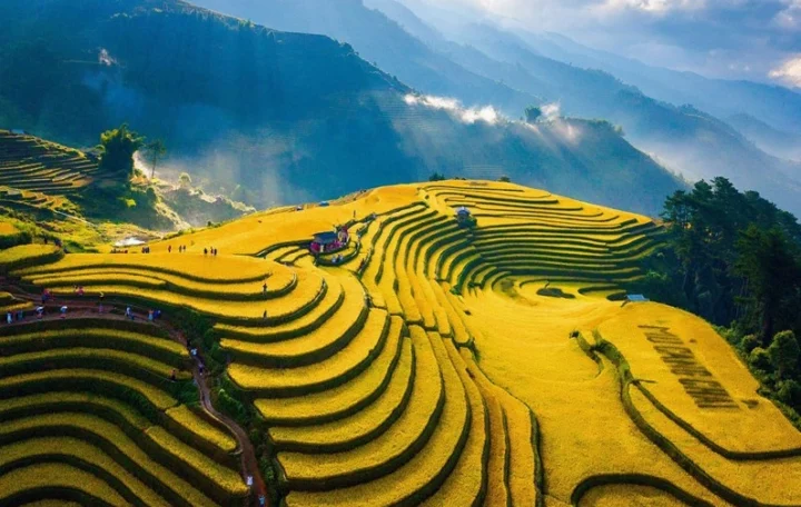 Ảnh Việt Nam Ngầu: Tuyệt Tác Thị Giác 2026 Hình ảnh phụ nữ Việt Nam mạnh mẽ