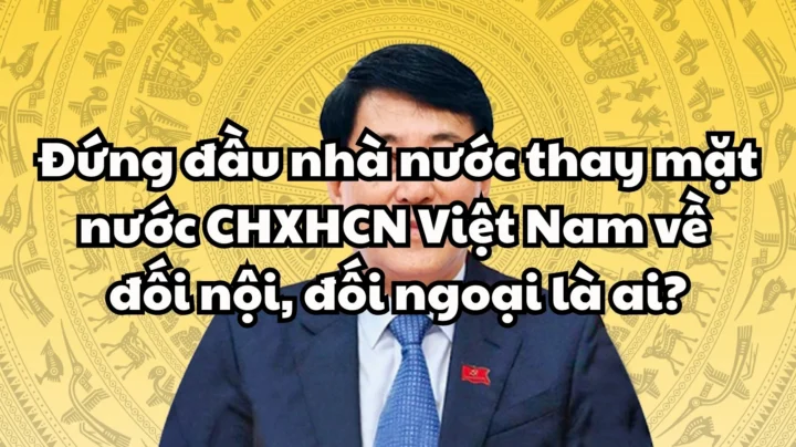 Hình ảnh thể hiện vai trò của nhà nước Việt Nam trên trường quốc tế