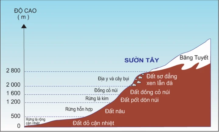 Càng lên vĩ độ cao nhiệt độ không khí sẽ như thế nào? Hình minh họa sự giảm nhiệt độ theo vĩ độ