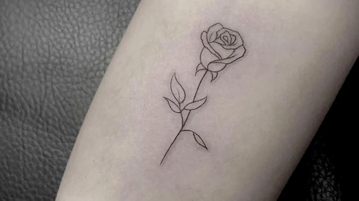 Hình Xăm Bông Hồng: Ý Nghĩa Sâu Sắc & 100+ Mẫu Tattoo Đẹp 2026 Hình xăm hoa hồng đỏ rực rỡ