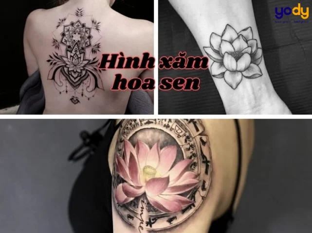 Hình Xăm Hoa Sen Hợp Mệnh Gì 2026? Ý Nghĩa & Chọn Lựa Hình xăm hoa sen tinh tế
