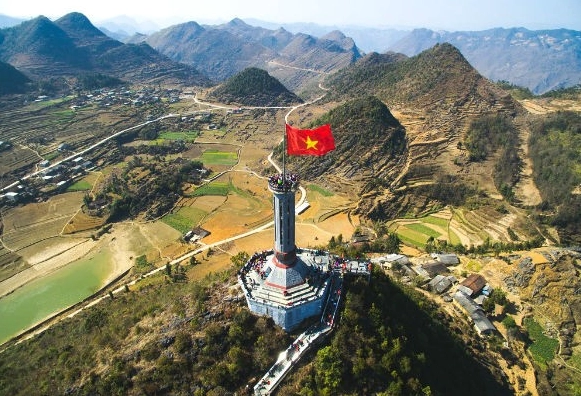 Hoa tam giác mạch trên Cao nguyên đá Đồng Văn