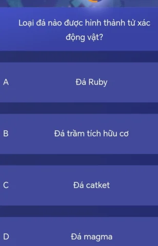 Loại đá nào được hình thành từ xác động vật? Hé lộ sự thật Hóa thạch động vật được tìm thấy trong đá vôi