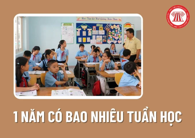 Lịch trình tuần học