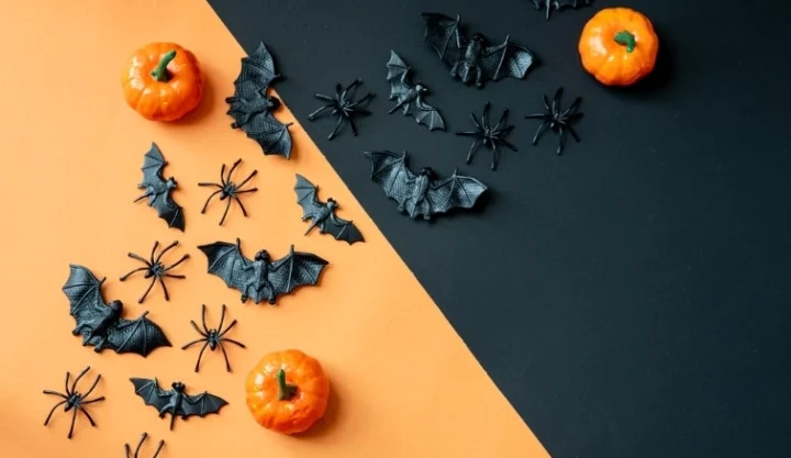 mau-sac-truyen-thong-cua-halloween-la-gi-kham-pha-bi-an_165