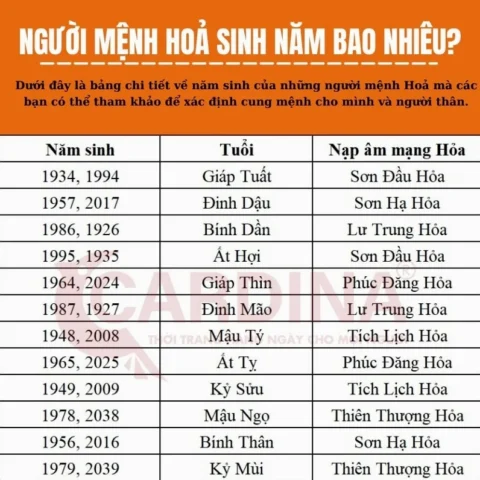 menh-hoa-hop-mau-nau-khong-giai-ap-chi-tiet-2026_495