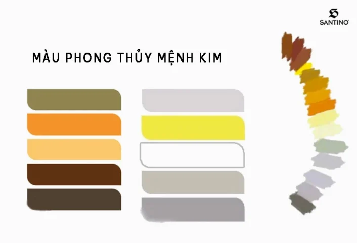 menh-kim-ky-mau-gi-kham-pha-bi-mat-phong-thuy-2026_775