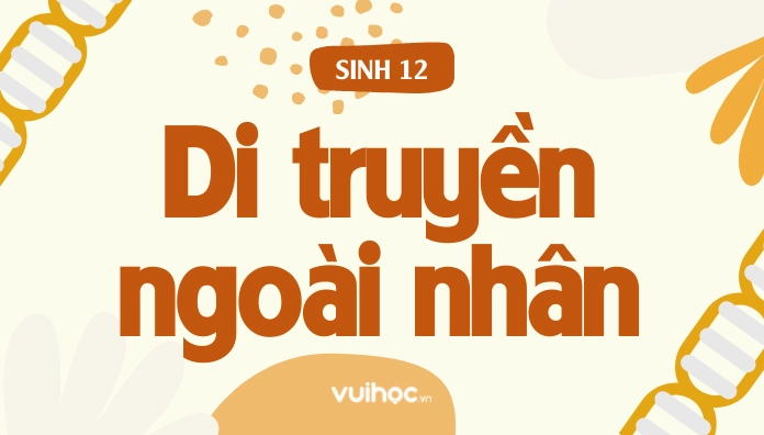 Minh họa di truyền ngoài nhân