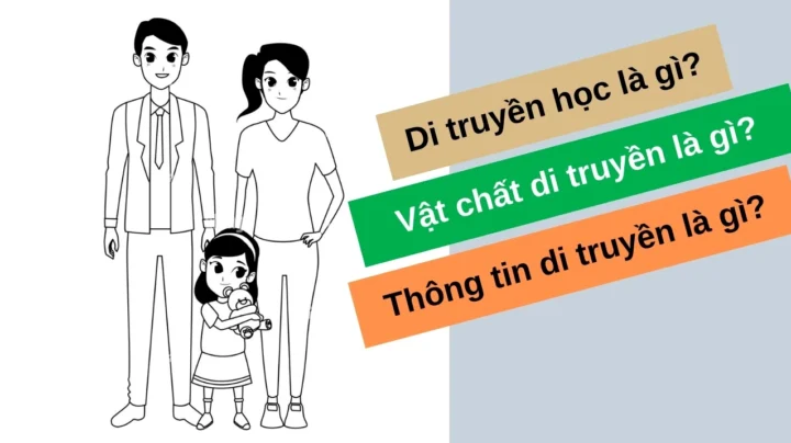 Minh họa quá trình phiên mã và dịch mã