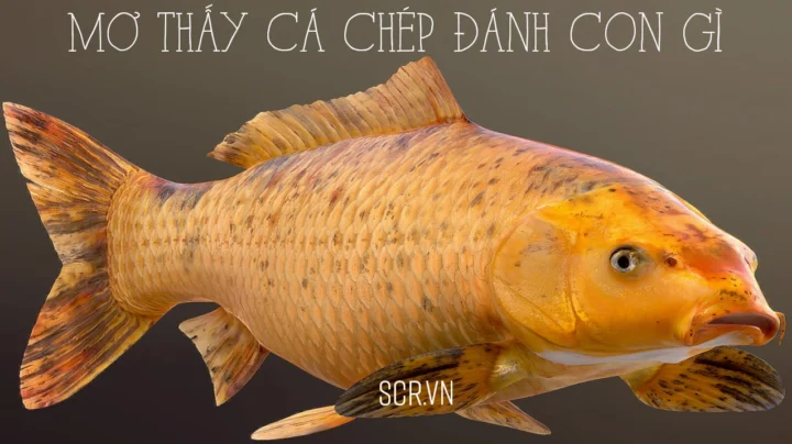 mo-ca-chep-anh-con-gi-giai-ma-giac-mo-va-con-so-may-man-2026_973