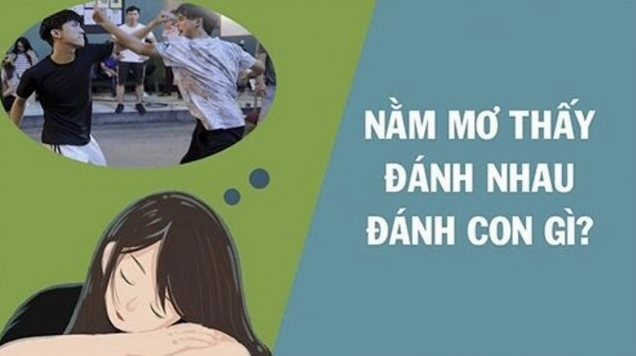 Nằm mơ thấy người khác đánh nhau: Điềm báo gì và giải mã chi tiết 2026 Mơ thấy bản thân đánh nhau