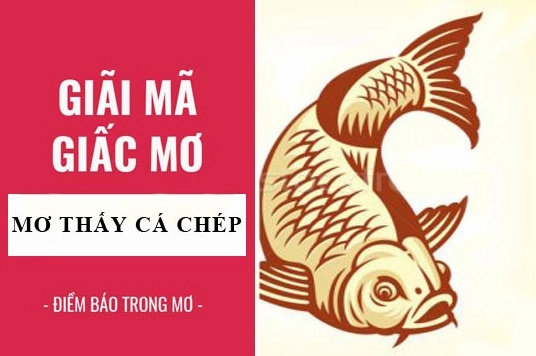 Mơ thấy cá chép vàng tượng trưng cho tài lộc