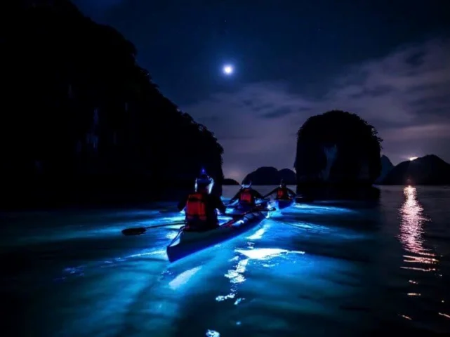 Lân Tinh: Khám Phá Kho Báu Sinh Học Độc Đáo Của Biển Cả Món ăn chế biến từ lân tinh