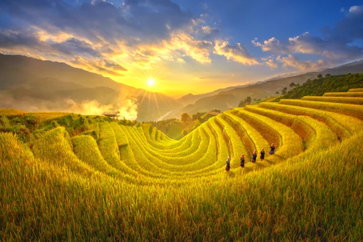 Món phở bò thơm ngon