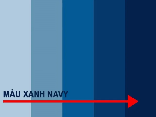 Người mẫu mặc trang phục màu xanh navy nhạt