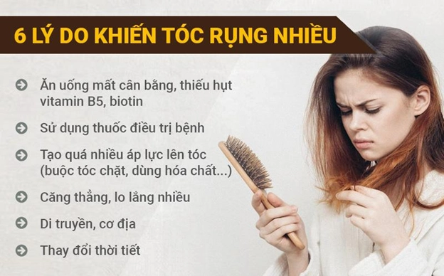 nguyen-nhan-gay-rung-toc-hieu-ro-e-bao-ve-mai-toc-2026_960
