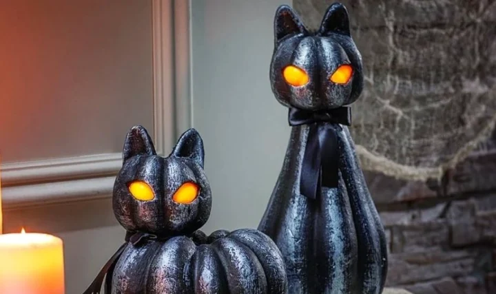 Con vật nào thường liên tưởng xui xẻo Halloween? Khám phá bí ẩn! Nhện và mạng nhện Halloween