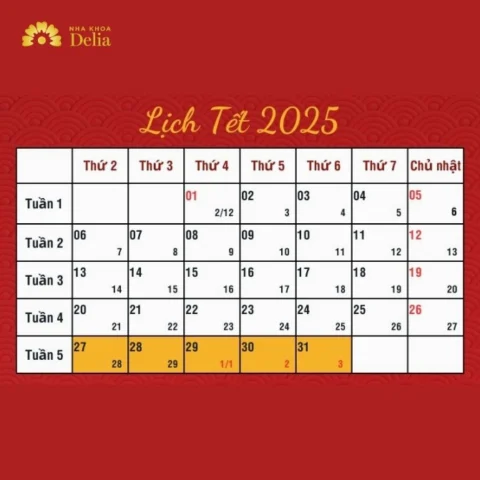 nua-nam-la-bao-nhieu-ngay-giai-ma-chinh-xac-bi-mat-hay_583