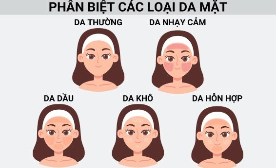 Bí Kíp Cách Xác Định Loại Da Mặt Chuẩn 2026 Phân biệt các loại da
