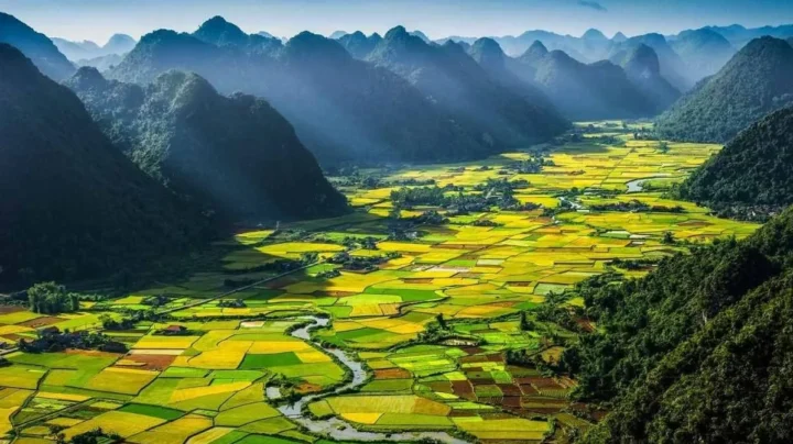 Phong Cảnh Thiên Nhiên Việt Nam: Kỳ Quan Diễm Lệ 2026 Phong cảnh núi rừng Việt Nam hùng vĩ
