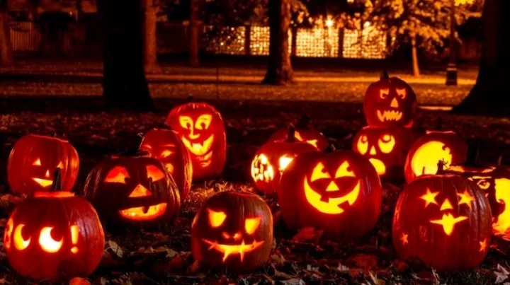 Màu sắc truyền thống của Halloween là gì? Khám phá bí ẩn! Phù thủy với trang phục đen Halloween