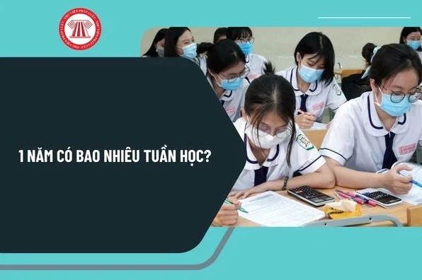 Quy định số tuần học trong 1 năm