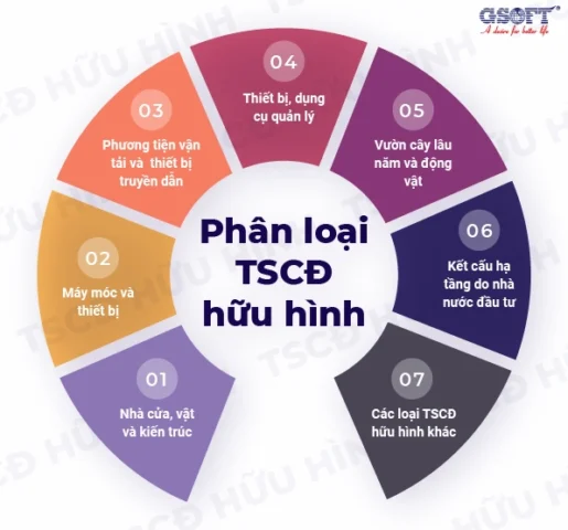 Hữu Hình Là Gì? Phân Biệt Tài Sản Hữu Hình & Vô Hình Chi Tiết Quy trình quản lý tài sản hữu hình
