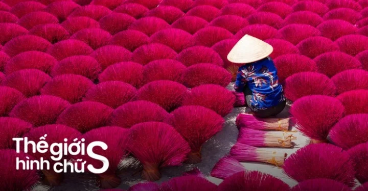Ruộng bậc thang Mù Cang Chải mùa lúa chín