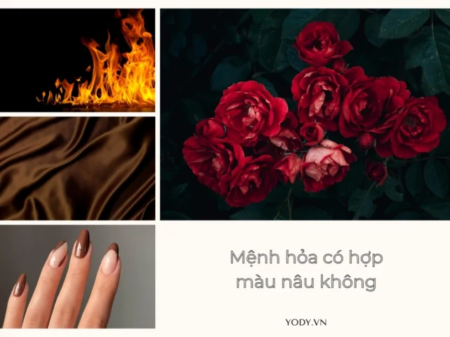 Sắc độ màu nâu hợp mệnh Hỏa