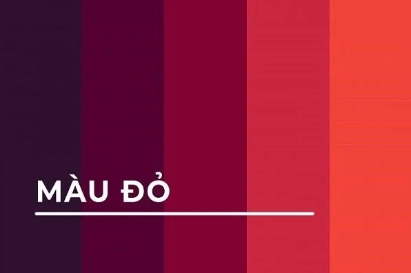 Sắc đỏ rực rỡ