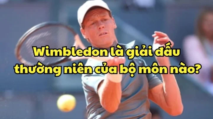 Wimbledon: Giải đấu thường niên của bộ môn nào? Sân đấu Wimbledon với thảm cỏ xanh mướt