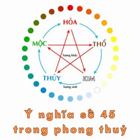 Số 45 và ý nghĩa cuộc đời