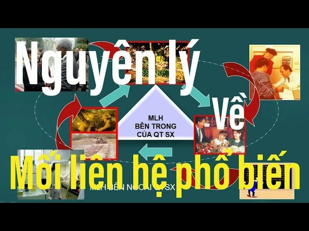 Phổ Biến Là Gì? Khám Phá Ý Nghĩa và Tầm Quan Trọng Năm 2026 Sơ đồ chiến lược tạo sự phổ biến