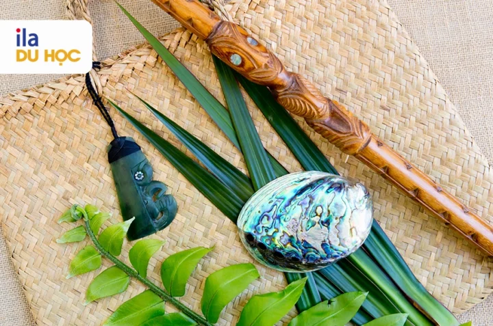 Quốc gia nào nổi tiếng với nền văn hóa Maori? Tác phẩm nghệ thuật điêu khắc Maori