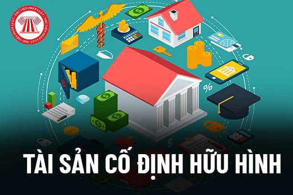 Hữu Hình Là Gì? Phân Biệt Tài Sản Hữu Hình & Vô Hình Chi Tiết Tài sản cố định hữu hình trong kế toán