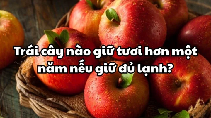 Táo bảo quản lạnh lâu dài
