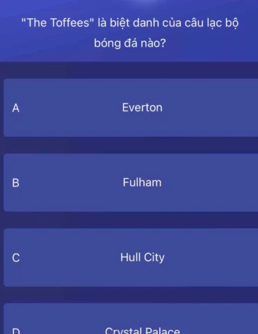 the-toffees-la-biet-danh-cua-cau-lac-bo-bong-a-nao-giai-ma-n_672