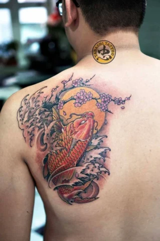 Tổng hợp các mẫu hình xăm cá chép đẹp