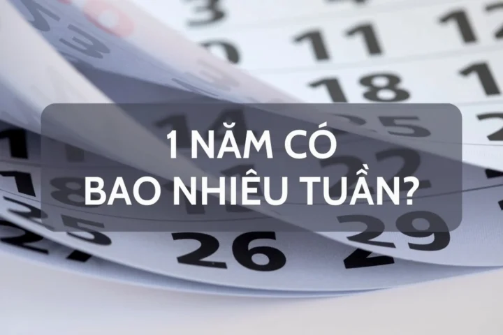 Tổng kết số ngày và số tuần trong một năm